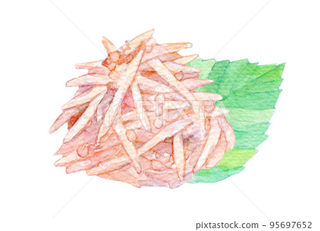 水彩插圖梅花水晶 水彩插圖梅花水晶 95697652