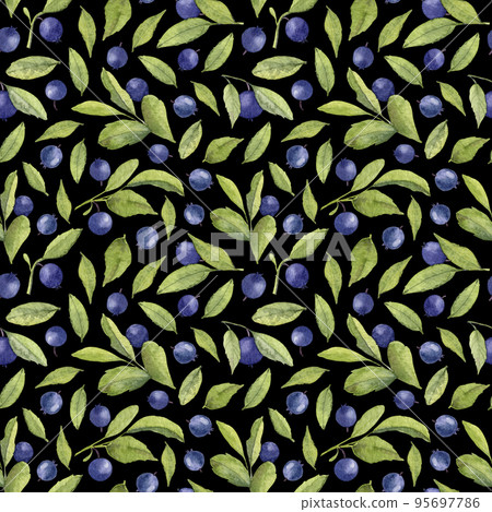 Seamless Pattern with Blueberry fruits and green leaves on black background. Hand drawn watercolor print with wild berry. Colorful backdrop for textile design or wrapping paper Seamless Pattern with Blueberry fruits and green leaves on black background. Hand drawn watercolor print with wild berry. Colorful backdrop for textile design or wrapping paper 95697786