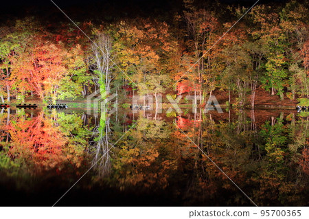 Hokuto Hachironuma Park Autumn Leaves Corridor 95700365