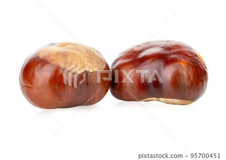 Horse-chestnut (Aesculus) fruits isolated on white background. Horse-chestnut (Aesculus) fruits isolated on white background. 95700451