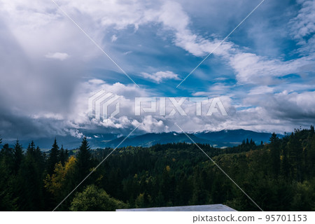 Coniferous Forest and Mountains Landscape Travel serene scenery 95701153