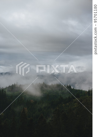 Coniferous Forest and Mountains Landscape Travel serene scenery 95701180
