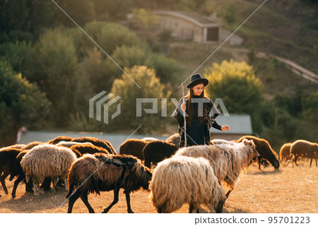 Female shepherd and flock of sheep at a lawn Female shepherd and flock of sheep at a lawn 95701223