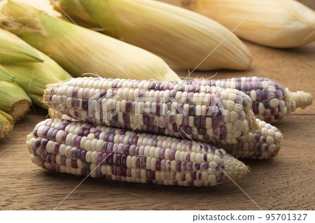 Heap of peeled Waxy corn on wooden table 95701327
