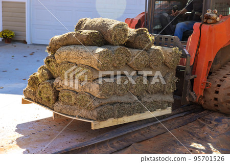 An boom forklift unloads turf rolls in pallets on construction site, which are being used as landscaping material. 95701526