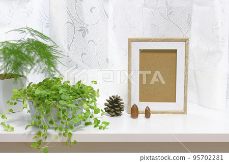 Foliage plants and photo frames growing by the window 95702281