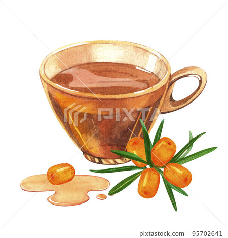 Glass transparent cup filled with sea buckthorn tea. Hand drawn watercolor on a white background. Forest buckthorn perfect for invitation, greeting cards and other design Glass transparent cup filled with sea buckthorn tea. Hand drawn watercolor on a white background. Forest buckthorn perfect for invitation, greeting cards and other design 95702641