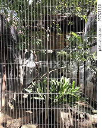 動物園裡的籠子 動物園裡的籠子 95703516