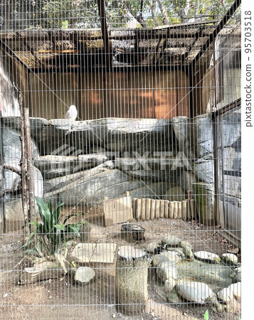 動物園裡的籠子 動物園裡的籠子 95703518