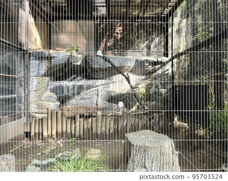 動物園裡的籠子 95703524