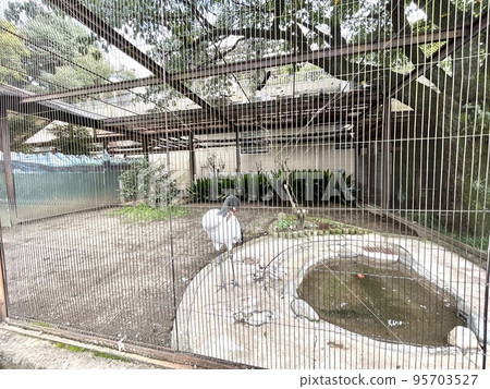 動物園裡的籠子 動物園裡的籠子 95703527