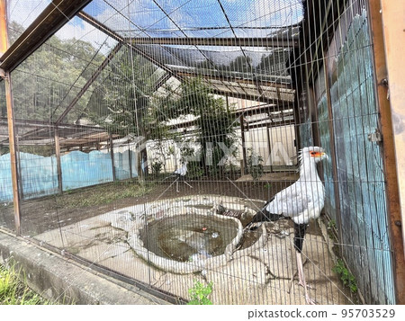 cage in the zoo 95703529