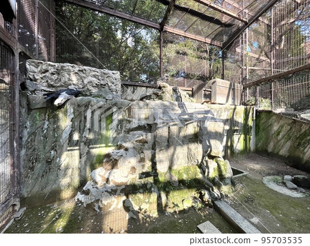 動物園裡的籠子 動物園裡的籠子 95703535