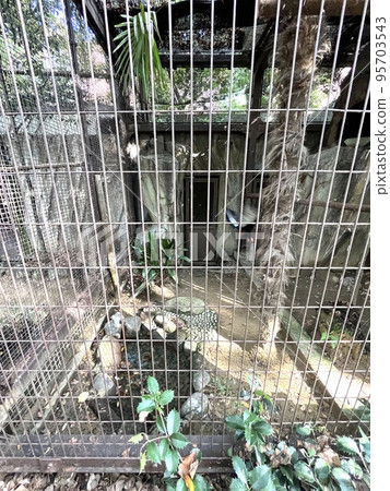 動物園裡的籠子 動物園裡的籠子 95703543