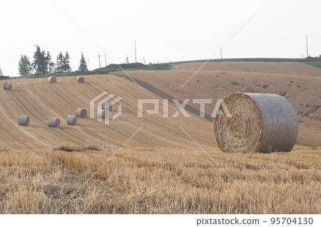 Natural scenery of Hokkaido full of charm 95704130