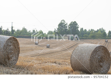 充滿魅力的北海道自然風光 充滿魅力的北海道自然風光 95704152
