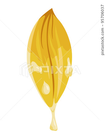 Vanilla flower. Realistic vector isolated design element. Nature spice. Yellow blossom with drops Vanilla flower. Realistic vector isolated design element. Nature spice. Yellow blossom with drops 95706037