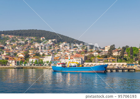 View of Heybeliada island from the sea with summer houses, Sea of Marmara, near Istanbul, Turkey 95706193