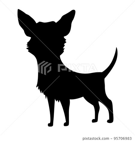Dog silhouette, chihuahua breed. Side view pet stand icon in black color. Make used for dog show, competition, pet store, guide dog, dog walking. Domestic animal isolated on white background Dog silhouette, chihuahua breed. Side view pet stand icon in black color. Make used for dog show, competition, pet store, guide dog, dog walking. Domestic animal isolated on white background 95706983