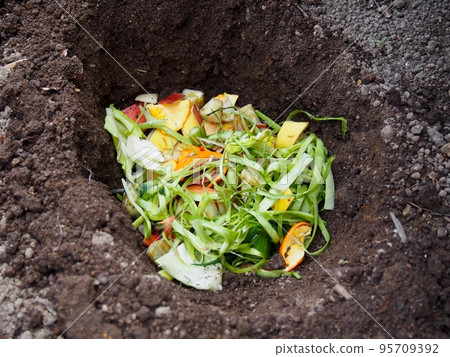 用蔬菜屑做堆肥 95709392