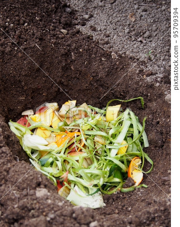 Making compost with vegetable scraps 95709394
