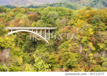 Scenery of autumn leaves Mikaeri Bridge in Naruko Gorge Osaki City, Miyagi Prefecture 95711577