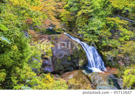 Scenery of autumn leaves Sekiyama Falls in autumn Higashine City, Yamagata Prefecture 95711687