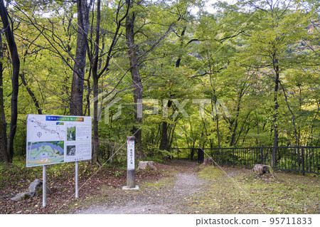 Autumn foliage at the entrance of Houmei Shijuhachi Falls in Sendai City, Miyagi Prefecture Autumn foliage at the entrance of Houmei Shijuhachi Falls in Sendai City, Miyagi Prefecture 95711833