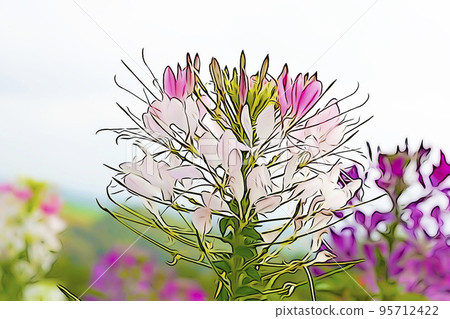 Pastel style ``Seiyou-fucho-sou'' illustration image Pastel style ``Seiyou-fucho-sou'' illustration image 95712422