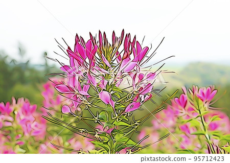 柔和風格的“Seiyou-fucho-sou”插圖圖像 柔和風格的“Seiyou-fucho-sou”插圖圖像 95712423