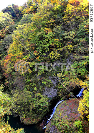 在梵文河梵文河谷的秋葉 95712697