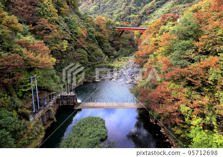 Autumn foliage on the Sanskrit river Sanskrit river valley Autumn foliage on the Sanskrit river Sanskrit river valley 95712698