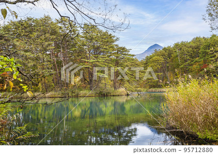 Autumn Goshiki-numa Nature Trail Bishamon-numa Kitashiobara Village, Fukushima Prefecture 95712880
