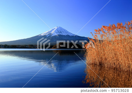 Scenery of Japan Upside-down Mt. Fuji of Lake Kawaguchi, Kawaguchiko Town, Yamanashi Prefecture Scenery of Japan Upside-down Mt. Fuji of Lake Kawaguchi, Kawaguchiko Town, Yamanashi Prefecture 95713028