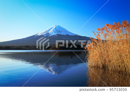 Scenery of Japan Upside-down Mt. Fuji of Lake Kawaguchi, Kawaguchiko Town, Yamanashi Prefecture Scenery of Japan Upside-down Mt. Fuji of Lake Kawaguchi, Kawaguchiko Town, Yamanashi Prefecture 95713030