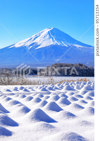 河口湖大石公園白雪皚皚的薰衣草田和富士山風光 河口湖大石公園白雪皚皚的薰衣草田和富士山風光 95713354