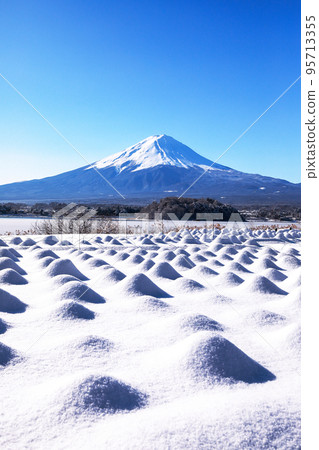 Scenery of snowy lavender fields and Mt. Fuji at Kawaguchiko Oishi Park 95713355