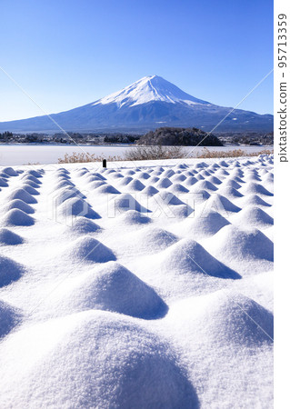 河口湖大石公園白雪皚皚的薰衣草田和富士山風光 95713359