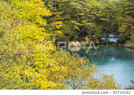 秋季五色沼自然步道 毗沙門沼北鹽原村,福島縣 秋季五色沼自然步道 毗沙門沼北鹽原村,福島縣 95714262
