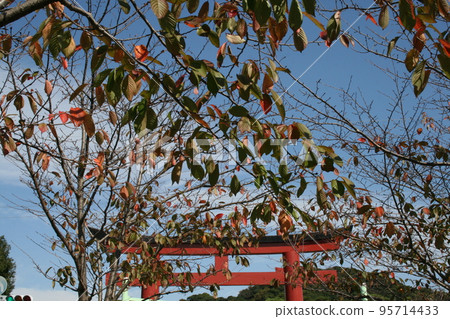 一大早去團活 一大早去團活 95714433