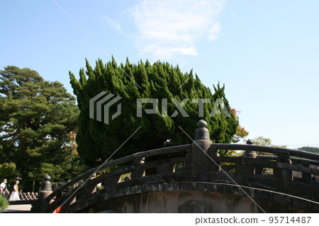 Visit Kamakura Tsurugaoka Hachimangu Shrine Visit Kamakura Tsurugaoka Hachimangu Shrine 95714487