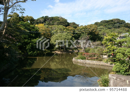 參觀鎌倉鶴岡八幡宮 95714488