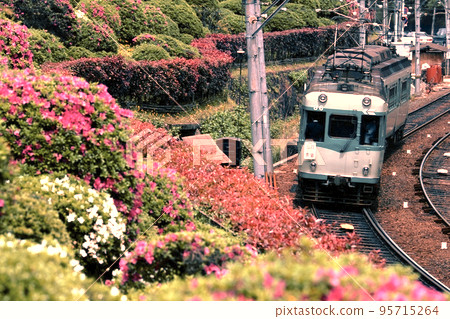 鐵路 私鐵 JR 京阪京神線 蹴上京都杜鵑花夏 鐵路 私鐵 JR 京阪京神線 蹴上京都杜鵑花夏 95715264