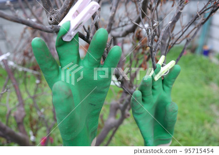 gloves, rubber gloves, laundry, rubber, garden work, work, hand, wear, tool, worker, plant, outside, outdoor, gardening, branch 95715454