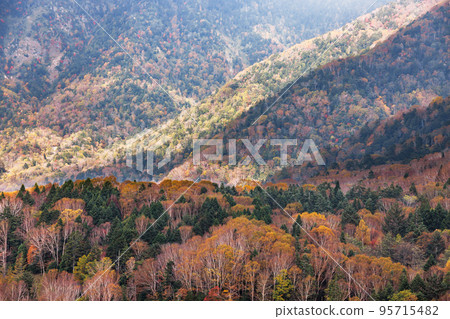Mountain scenery with autumn leaves seen from Mt. Nikko-Shirane Mountain scenery with autumn leaves seen from Mt. Nikko-Shirane 95715482