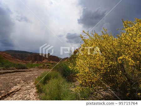 A shrub with yellow flowers and a stormy sky over Red Canyon Konorchek in mountains in Kyrgyzstan 95715764