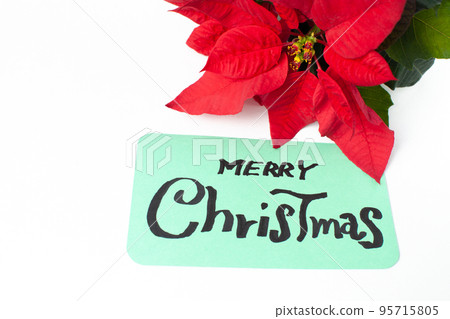 一品紅和手寫的消息 一品紅和手寫的消息 95715805