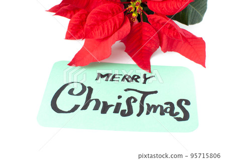 Poinsettia and handwritten message Poinsettia and handwritten message 95715806