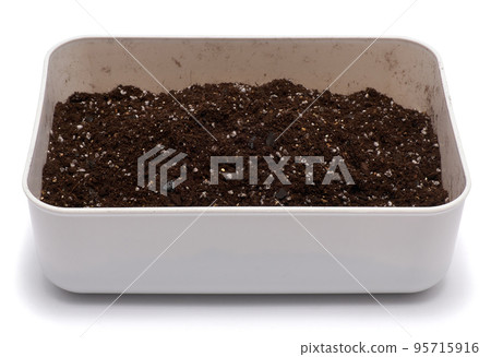 plastic box with substrate soil for transplanting houseplants isolated on white background 95715916