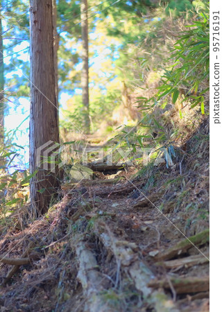 Bright mountain path of Mt. Mitake Bright mountain path of Mt. Mitake 95716191